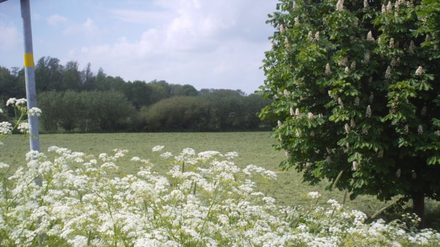2012 HWK 021.jpg